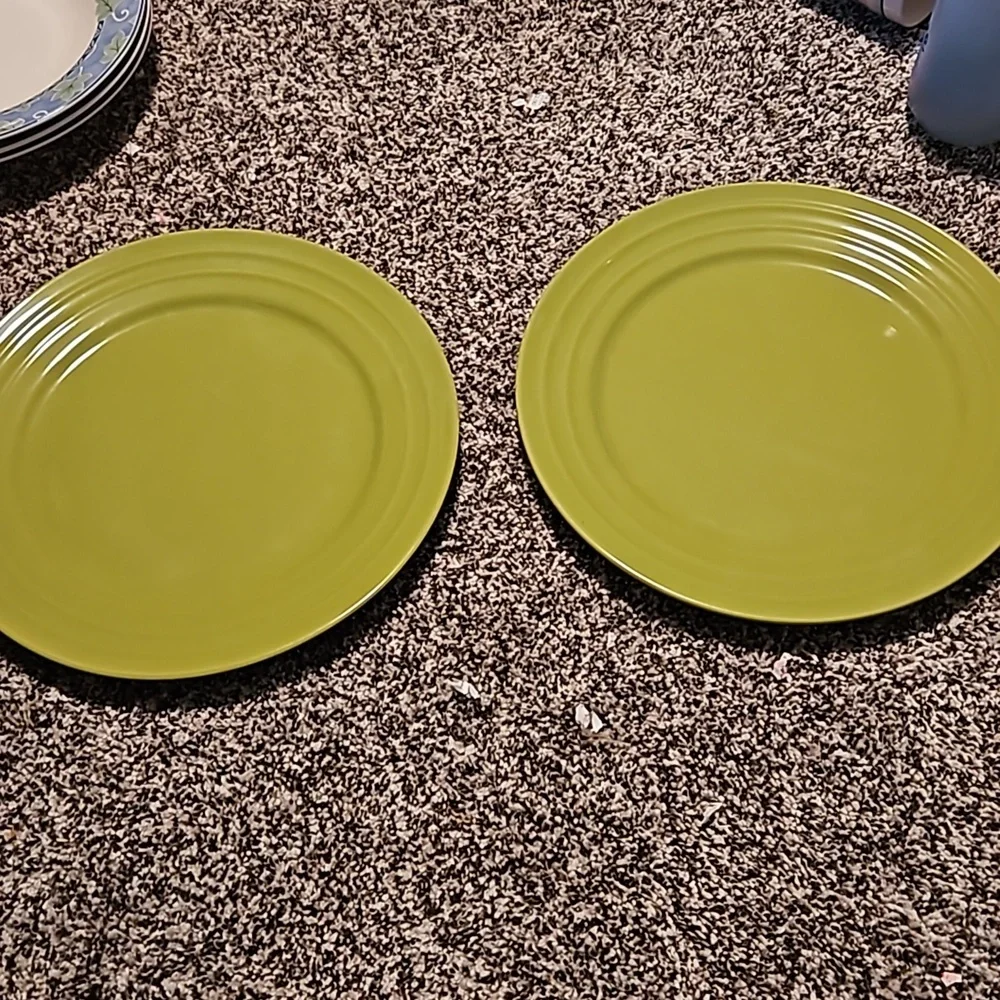 Rachael Ray Double Ridge Green Apple Dinner Plates 11" Embossed Rim Set 2